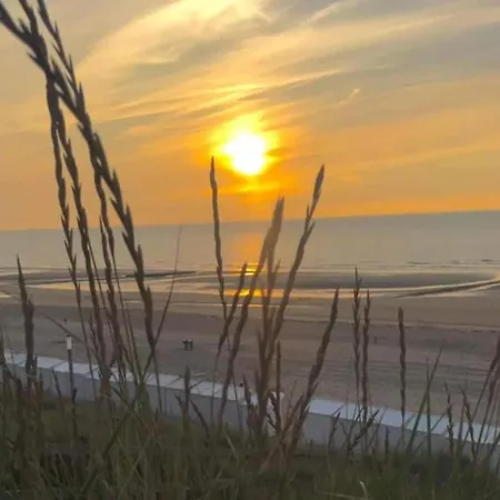 Cozy By The North Sea, Cleaning Included Wenduine